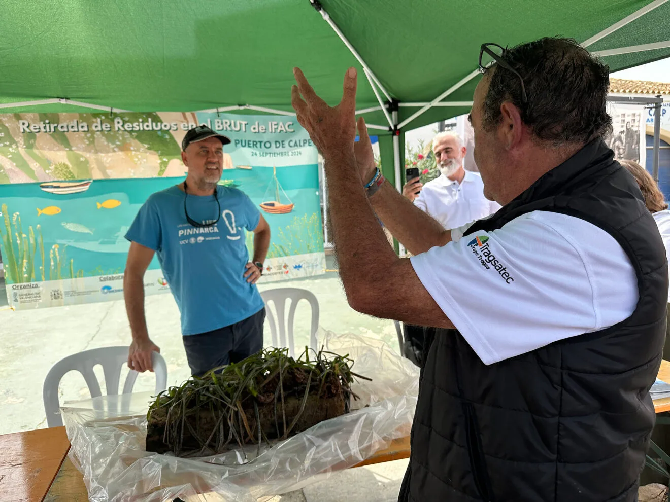 Trozo de espuma con posidonia del fondo marino de Calp
