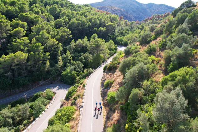 Imagen: Bosques de la Vall d'Ebo