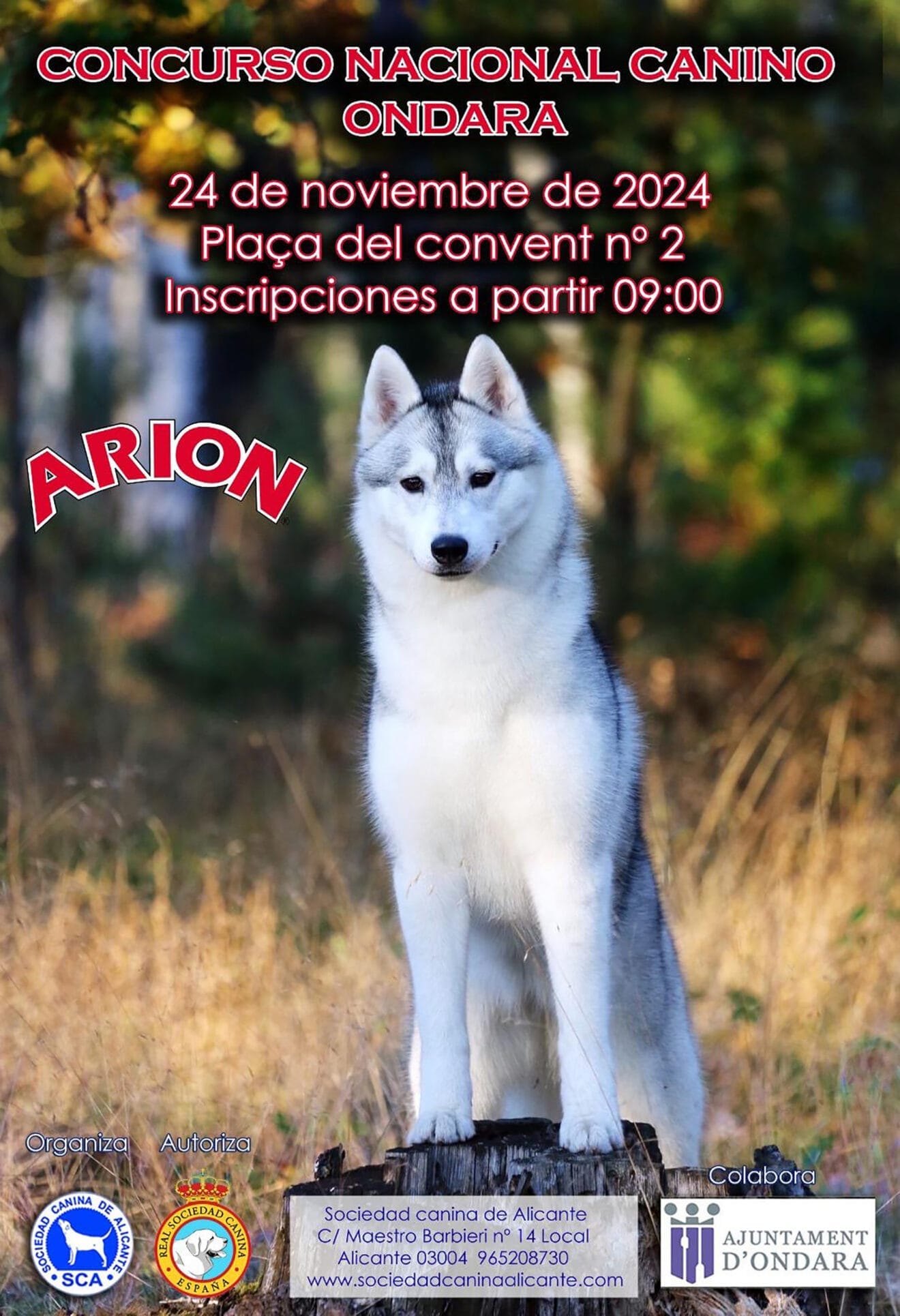 Cartel del concurso canino de la feria de Ondara 2024