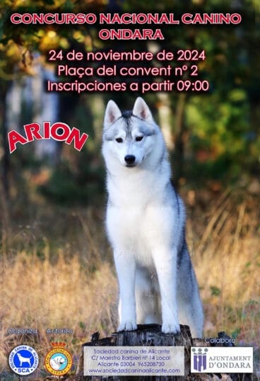 Cartel del concurso canino de la feria de Ondara 2024