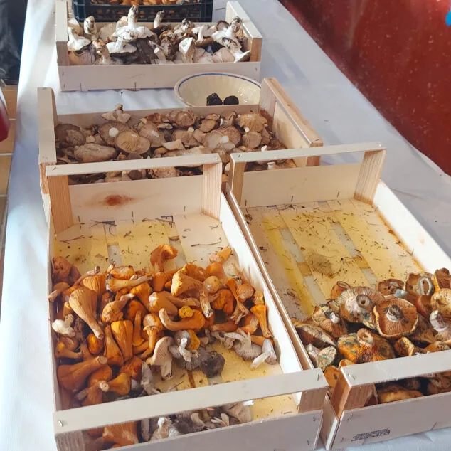 Imagen: Mercado de setas