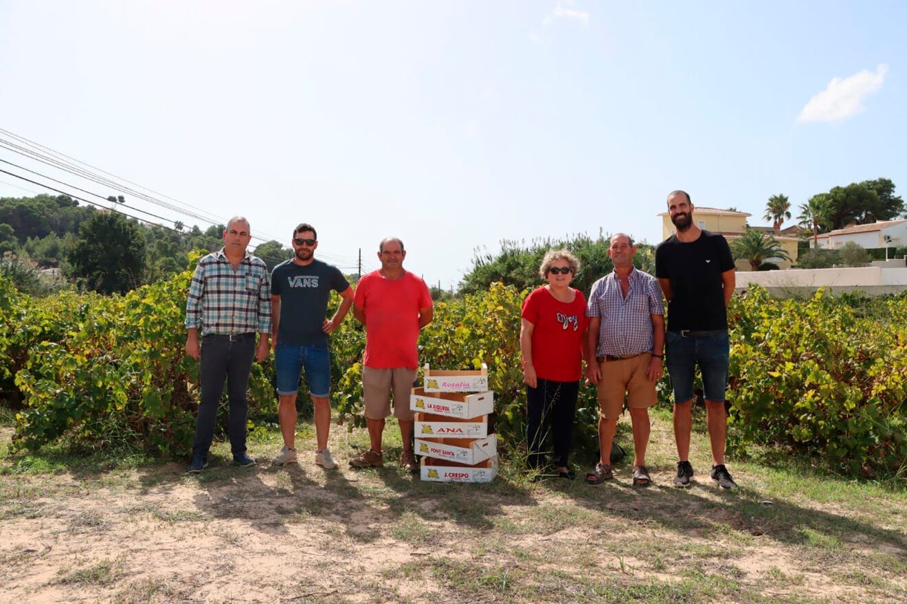 Miembros de la Associació d'Agricultors de Raïm de Moscatell de Teulada Moraira en 2023