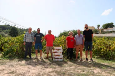 Miembros de la Associació d’Agricultors de Raïm de Moscatell de Teulada Moraira en 2023