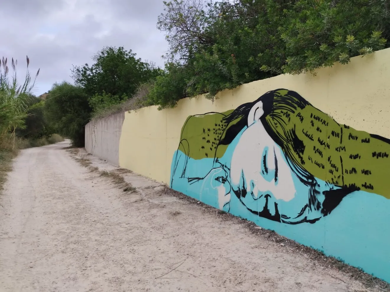 Nou mural a la Marjal de Pego