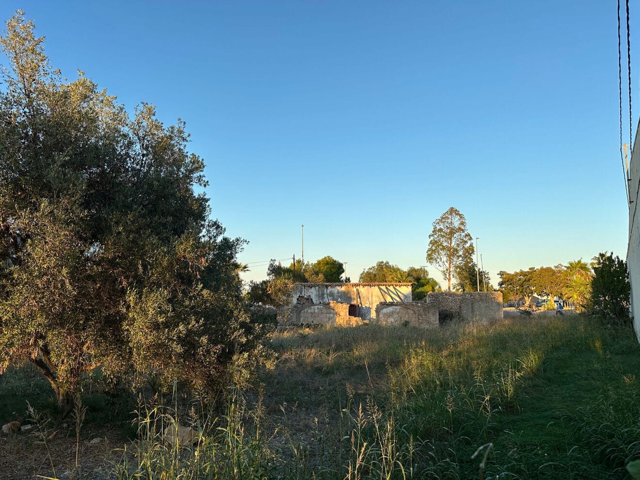 Parcela del riurau d'Antonio Cabrera en El Verger