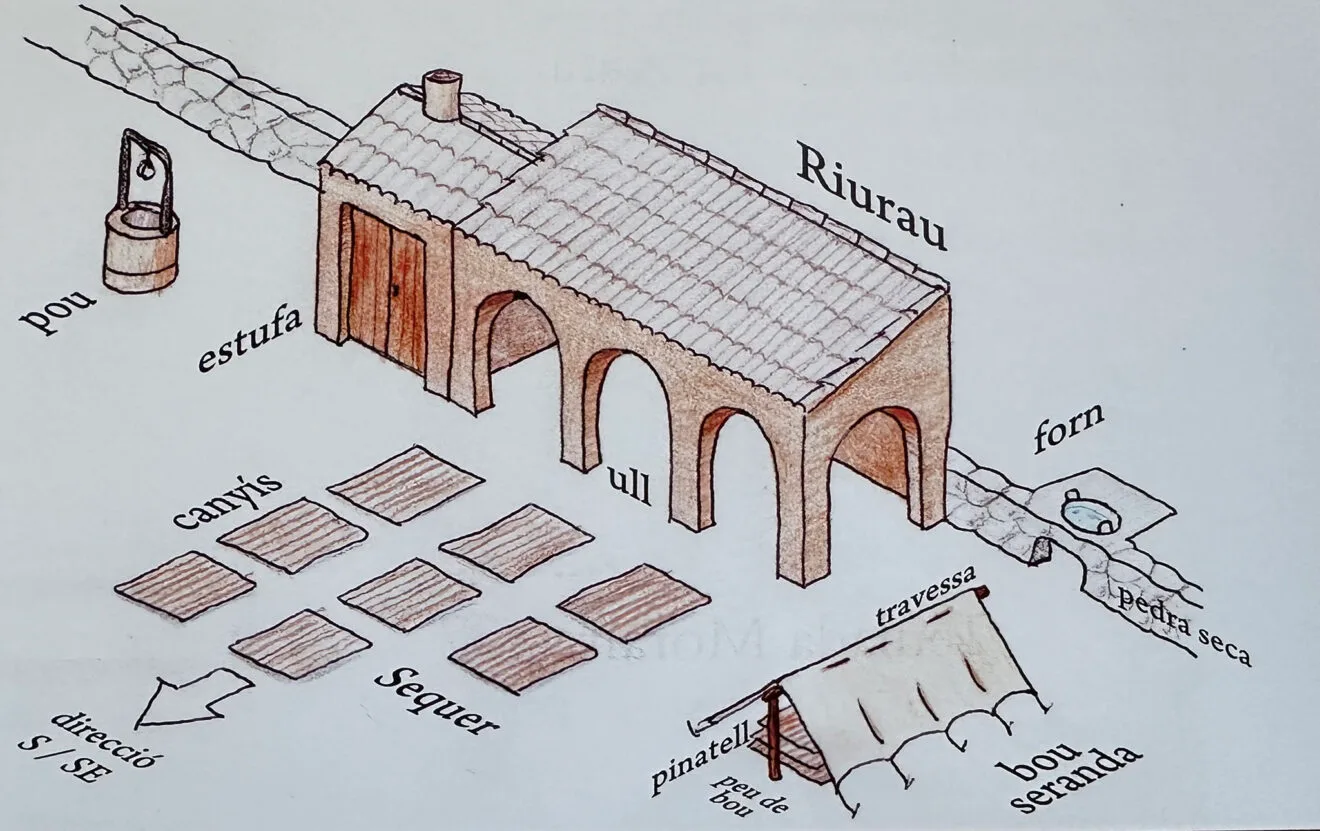 Partes de un riurau - Ruta dels Riuraus