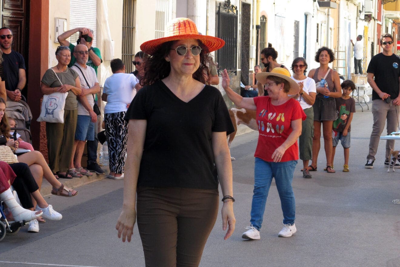 Persianes amb Art 2024 en Els Poblets 32