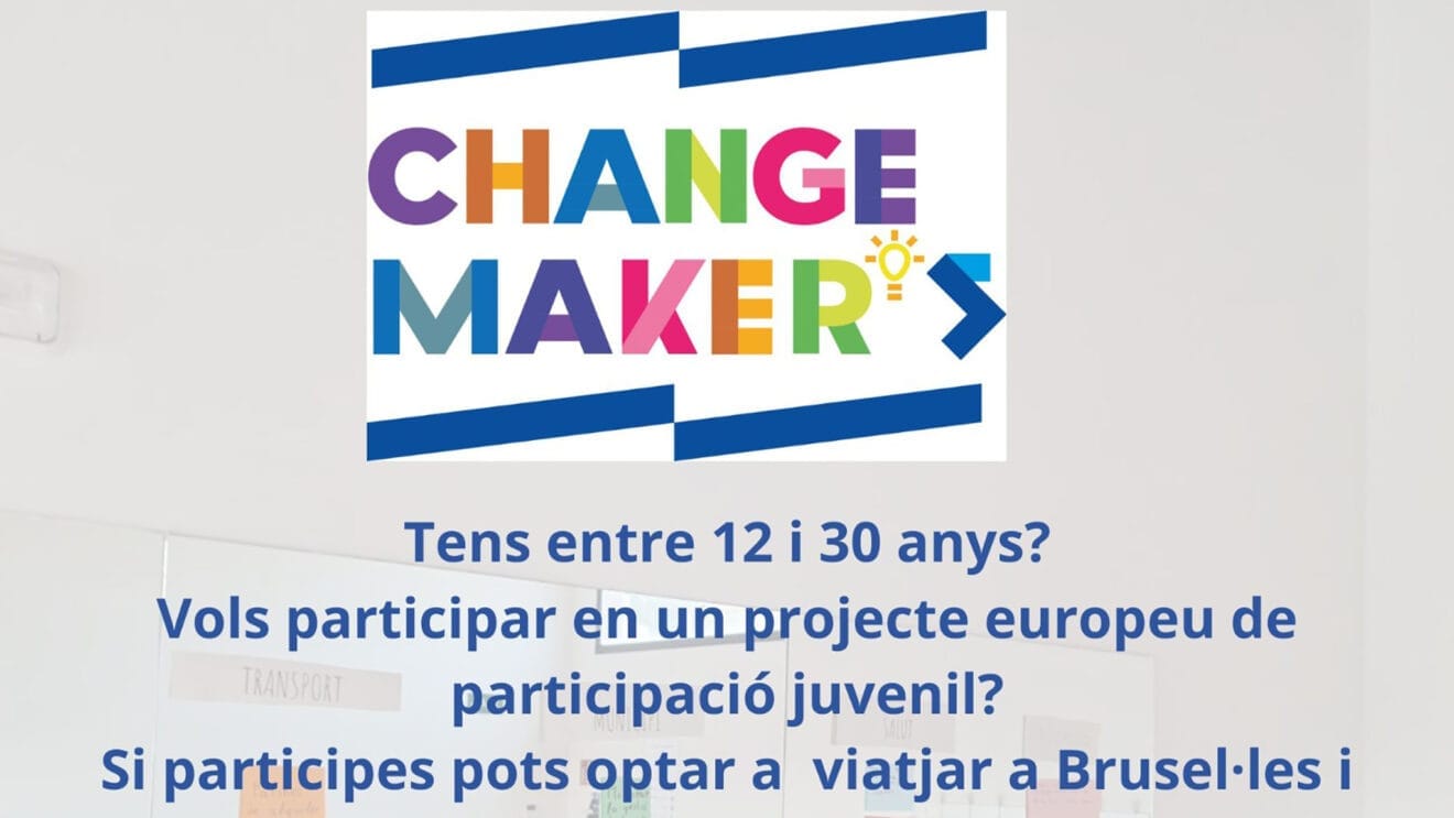 Proyecto Changemakers dest