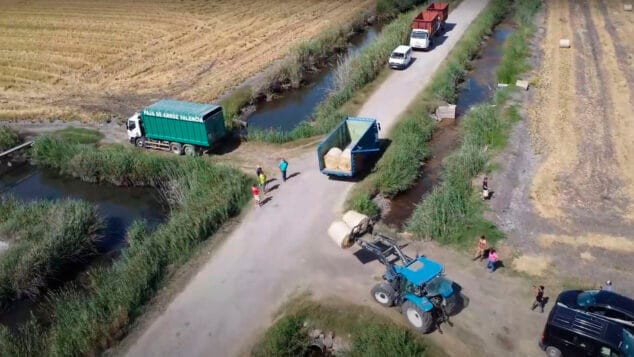 recogida y distribucion de paja de arroz de la marjal de pego oliva