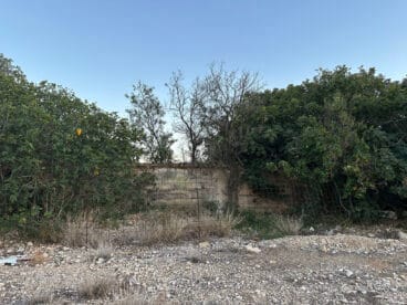 Riurau de Guillem en El Verger