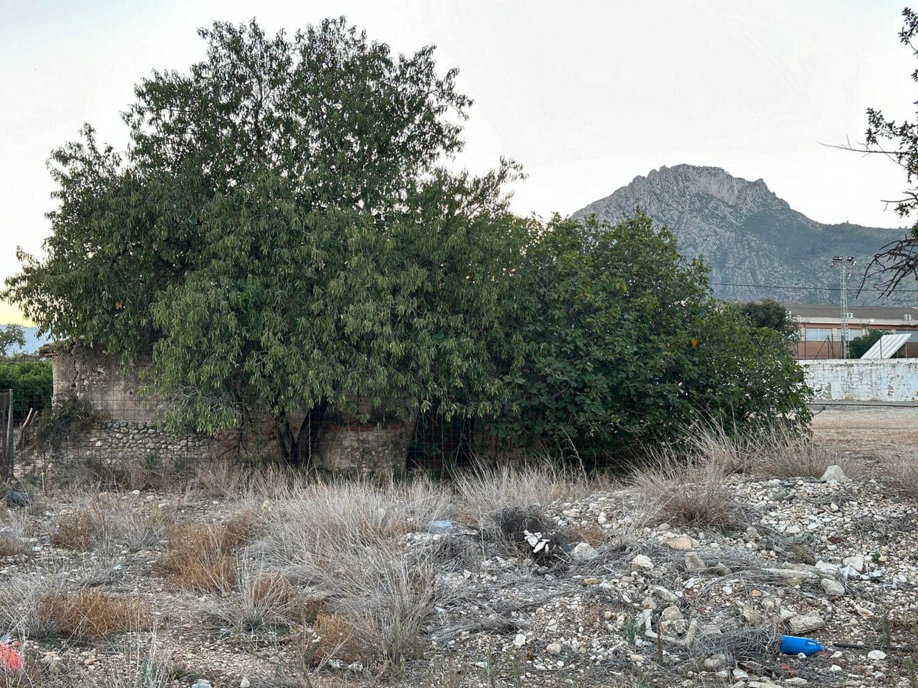 Riurau de Guillem en El Verger en la actualidad
