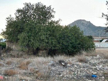 Riurau de Guillem en El Verger en la actualidad
