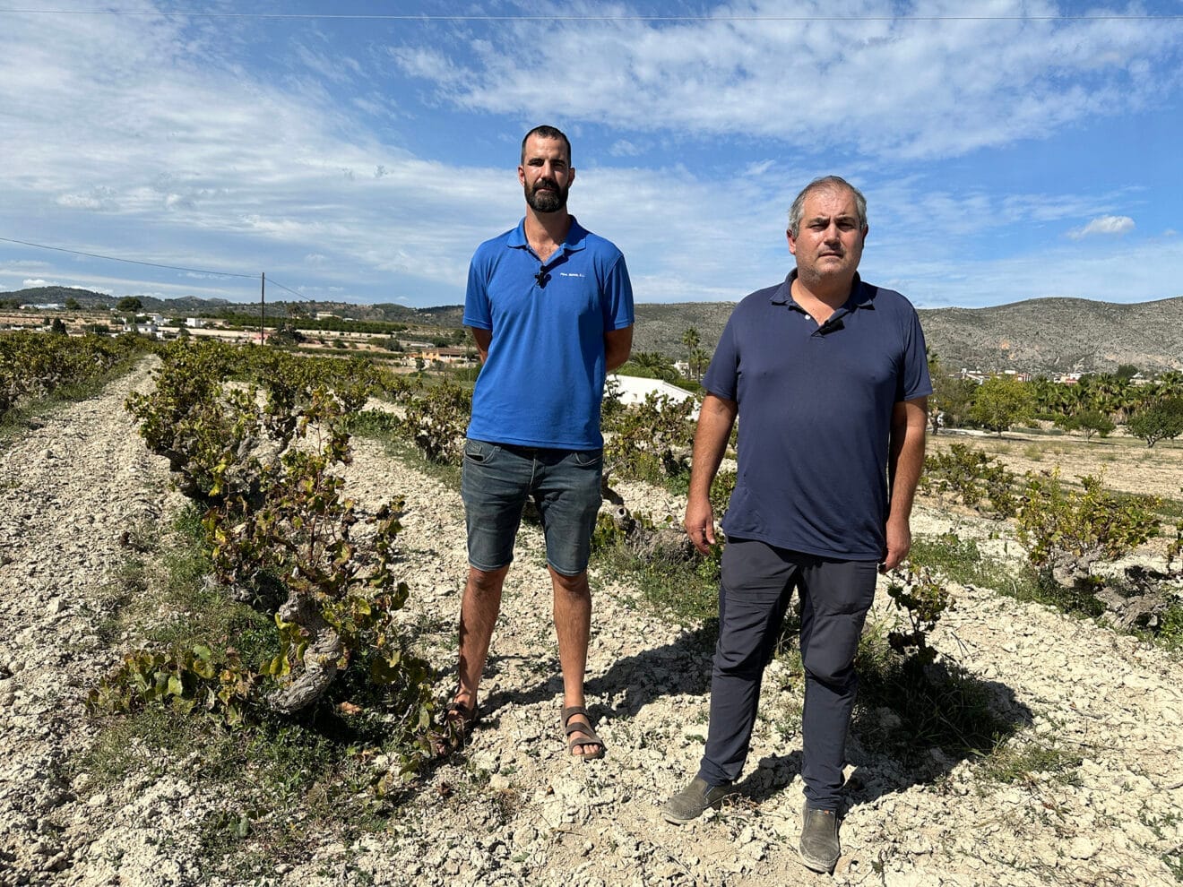 Vicente Coello y Juanjo Buigues, agricultores de la uva Moscatel de Teulada Moraira
