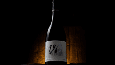 vinos de edicion limitada los sabores que marcan la diferencia