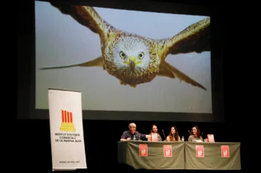 Autores de ‘Les aus de la Marina Alta’ durante la presentación del libro
