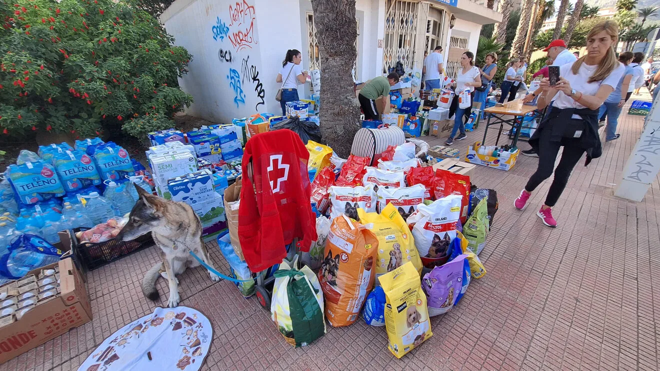 Calp se prepara para llevar productos a València 05