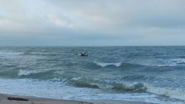 Cañas en la playa de les Deveses de Dénia tras la DANA 05