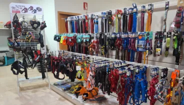 Collares, correas y todo lo que necesitas para el paseo perfecto