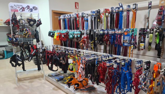 collares correas y todo lo que necesitas para el paseo perfecto