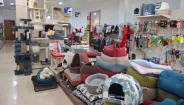 Complementos para mascotas con estilo y funcionalidad