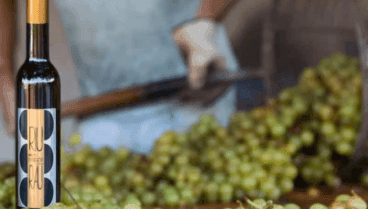 el meticuloso proceso artesanal que da vida a la mistela en bodegas xalo