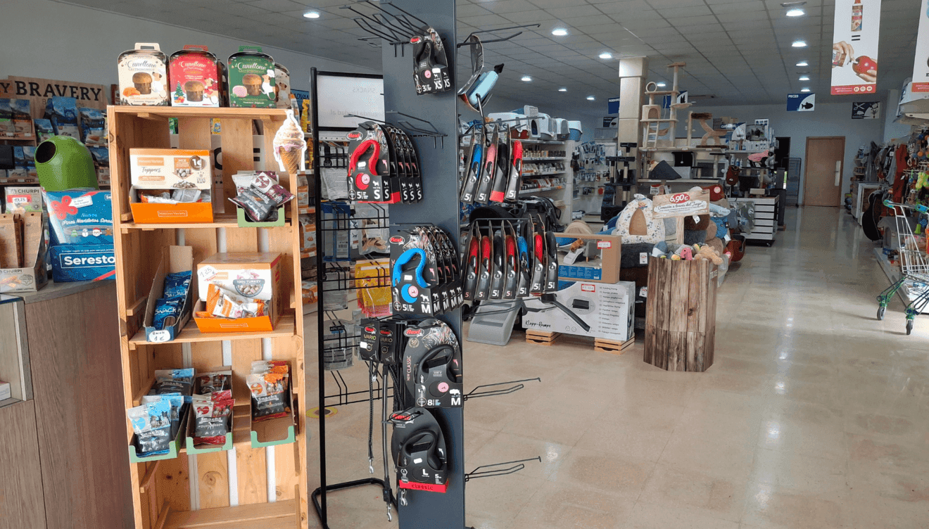 Encuentra los mejores complementos para consentir a tu mascota