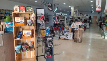 Encuentra los mejores complementos para consentir a tu mascota