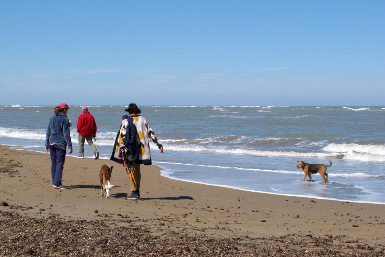 Gente paseando por una playa de Dénia
