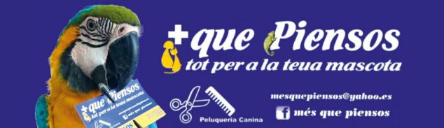 Imagen: Logo Més que piensos