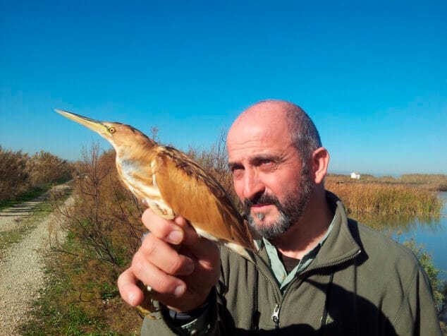 Imagen: Pep Cantó junto a un ejemplar de avetorillo
