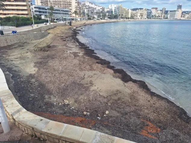 Imagen: Playa de La Fossa en Calp