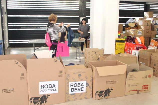 recogida de material en ondara 12