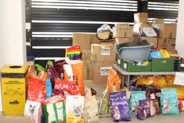 Recogida de material en Ondara 13