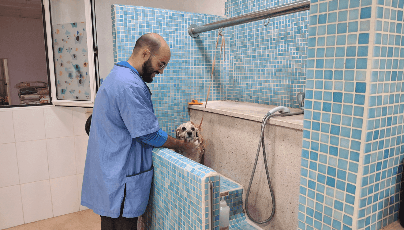 Un servicio de peluquería canina que cuida cada detalle