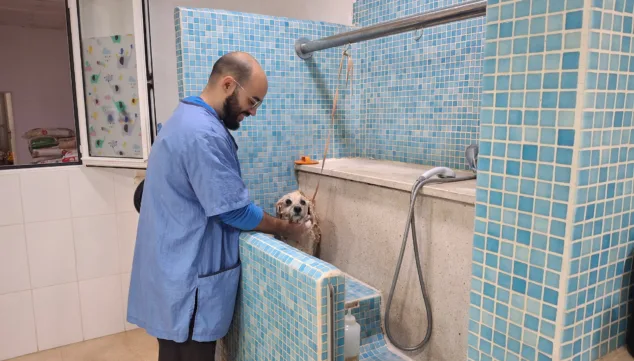 un servicio de peluqueria canina que cuida cada detalle