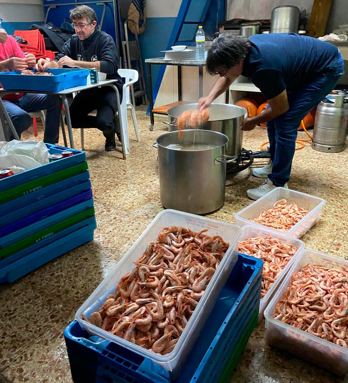Cajas de gamba blanca de Calp