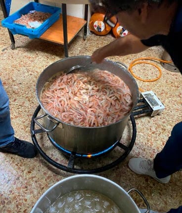 Cocción de la gamba blanca de Calp