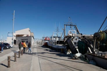 Embarcaciones pesqueras en el puerto de Dénia