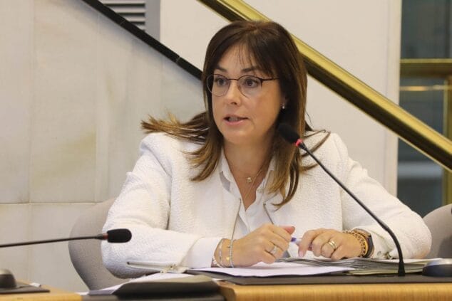 Imagen: La diputada Magdalena Martinez