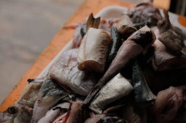 Peix de Calp en el concurso de Calderos de Calp este 2024