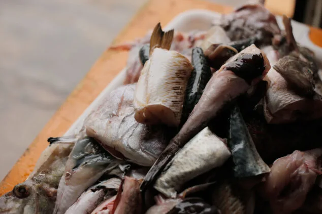 El arrastre en el Mediterráneo a debate: entre la conservación de los recursos pesqueros y la supervivencia del sector 2 Imagen: Pescado fresco de la lonja de Calp