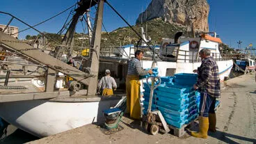 pescadores en el puerto de calp
