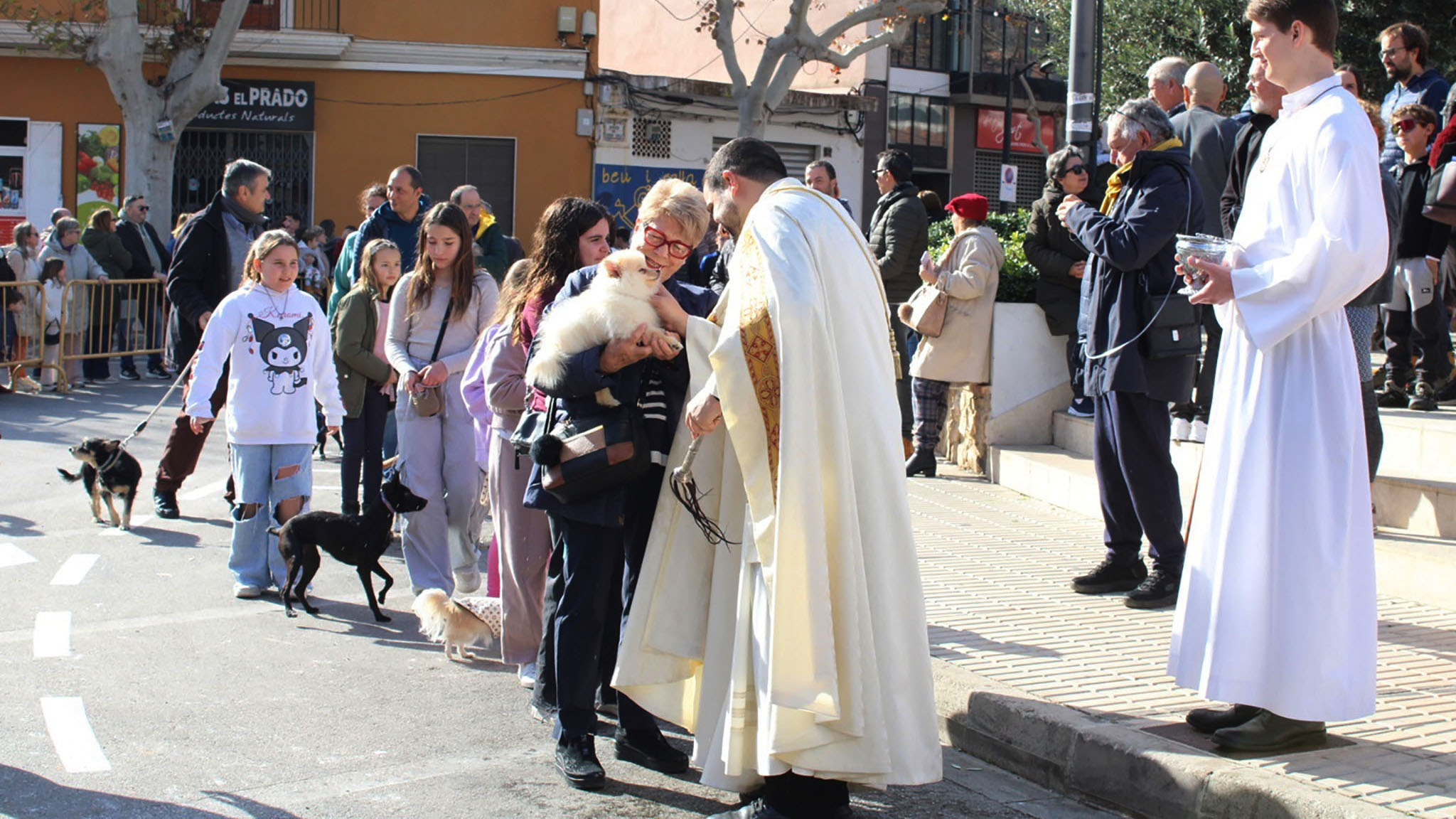 bendicion de sant antoni a los animales de ondara este 2025