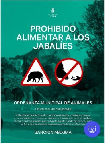 Cartel informativo sobre los jabalíes en Calp