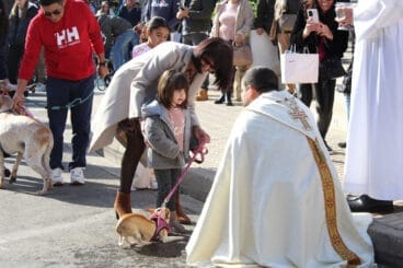 Día de Sant Antoni 2025 en Ondara 07
