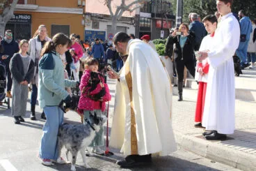 Día de Sant Antoni 2025 en Ondara 10