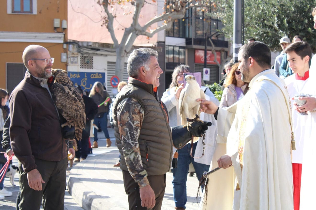 Día de Sant Antoni 2025 en Ondara 11