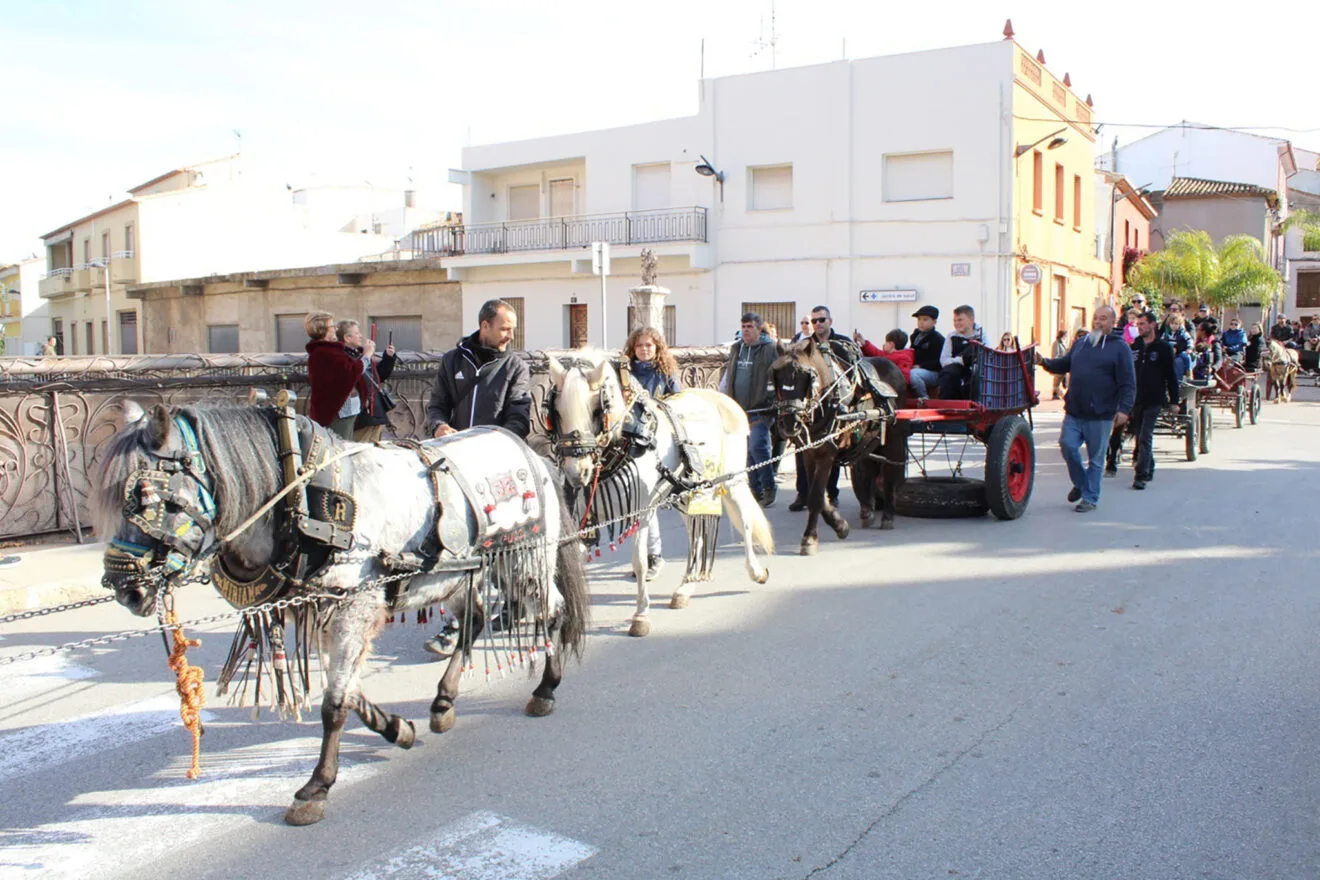 Día de Sant Antoni 2025 en Ondara 15