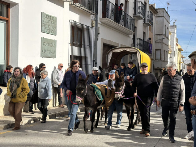 dia de sant antoni de la fira i porrat 2025 de benissa 12