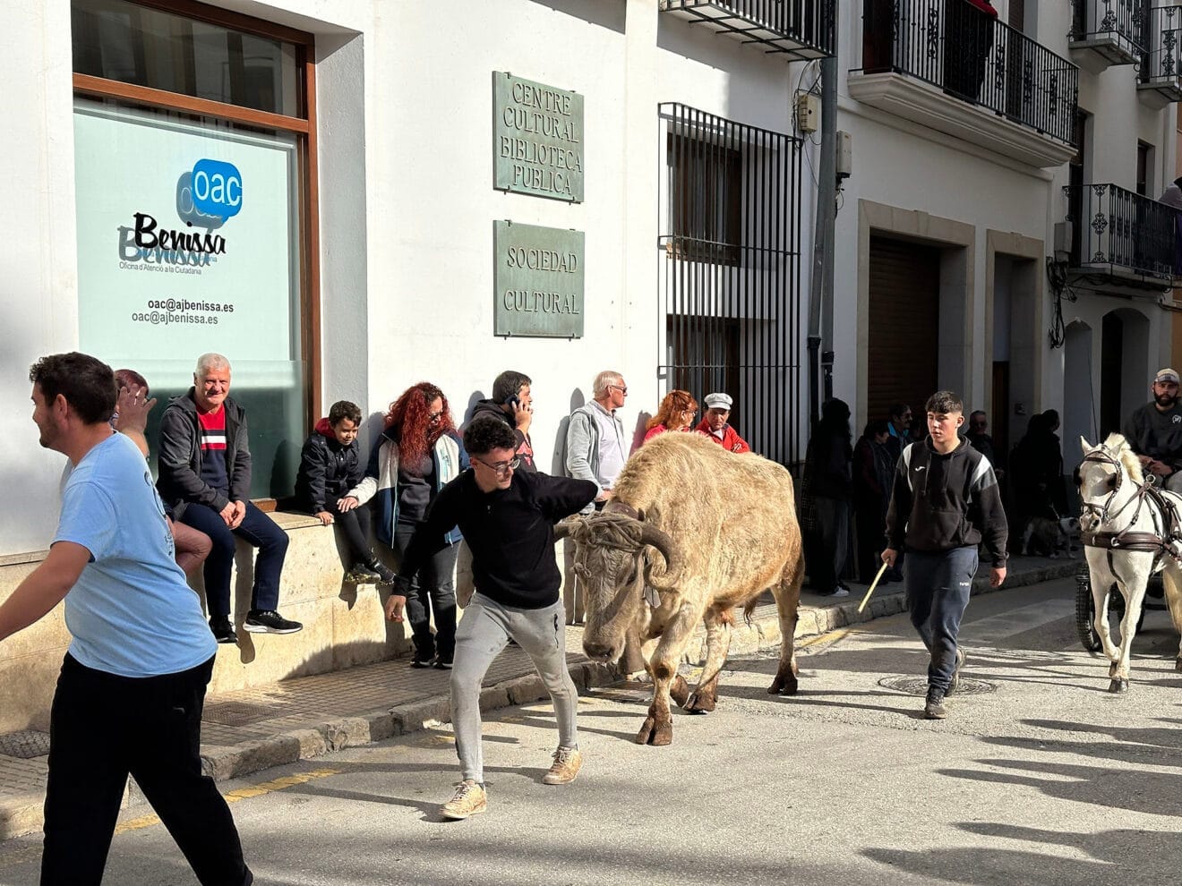 Día de Sant Antoni de la Fira i Porrat 2025 de Benissa 18